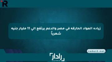 زيادة المواد الحارقة في مصر والدعم يرتفع إلى 11 مليار جنيه شهرياً